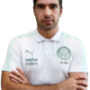 Técnico Abel Ferreira